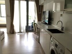 Okio (D12), Apartment #434372901